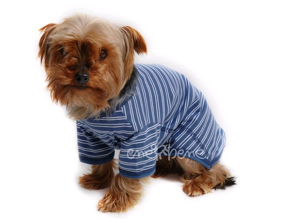 Obleek - triko pro psa modr pruhy