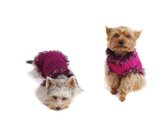 Obleek - svetr pro psa Sofi vnov 2 - fenka