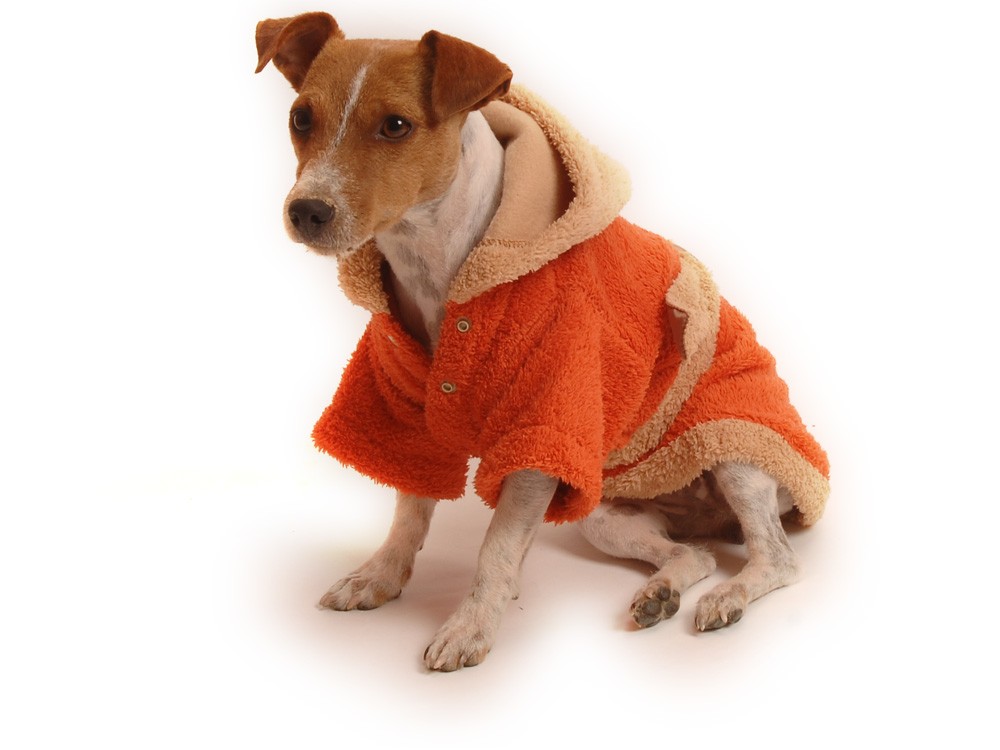 Ene Bene obleček - župan pro psa oranžovo - hnědý XL