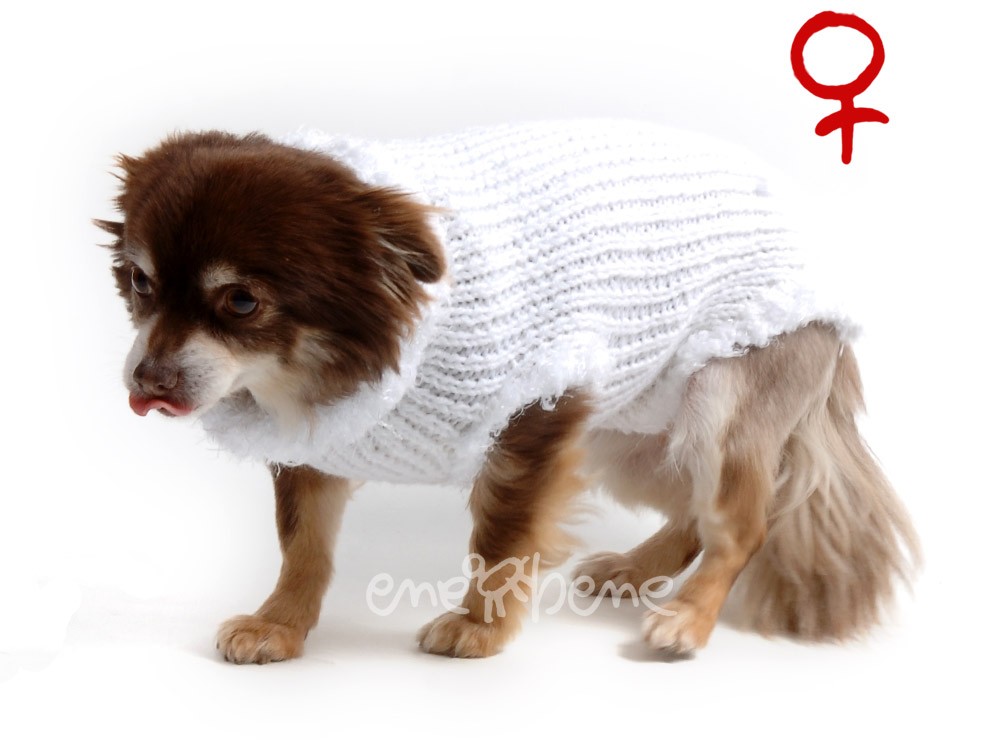 Ene Bene obleček - svetr pro psa Sofi bílý - fenka XS