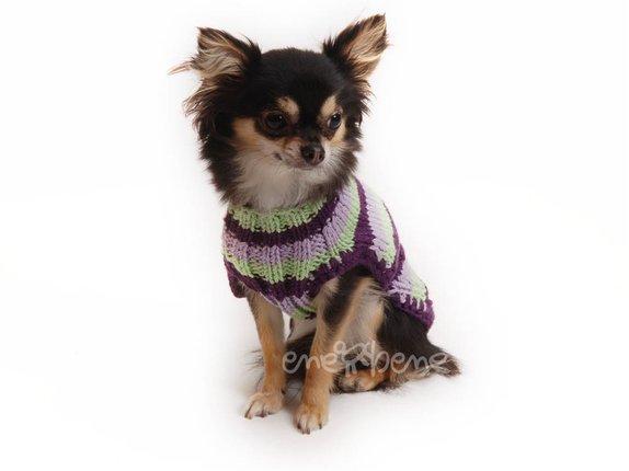 Obleček - svetr pro psa pruhovaný