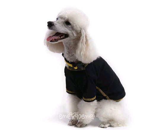 Obleček - termotričko pro psa coolmax černé - žluté prošití