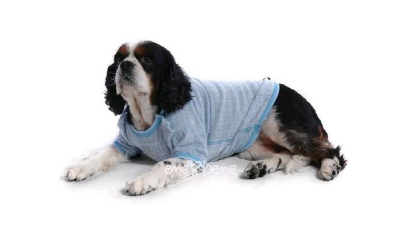 Obleček - tričko pro psa světle modré