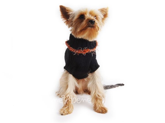 Obleček - svetr pro psa Sára černý