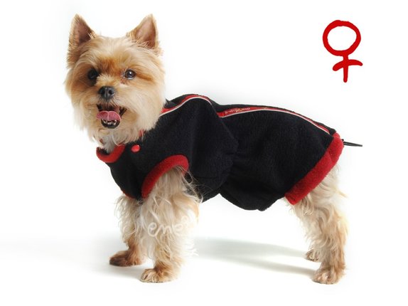 Obleček - mikina pro psa Danny černo červená - fenka