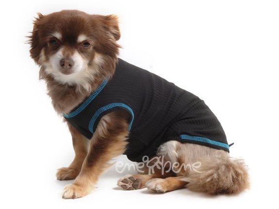 Obleček pro psa - termotílko černé