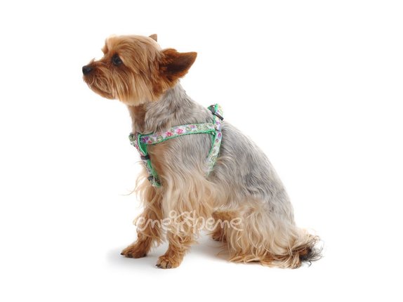 Postroj pro psa Ron - zelený s kytičkami, š. 1,5 cm