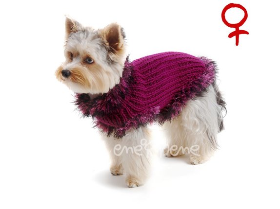 Obleček - svetr pro psa Sofi vínový 2 - fenka