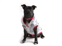 Obleček - pláštěnka pro psa Tami červený lem