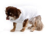 Obleček - svetr pro psa Sofi bílý - fenka