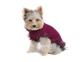 Obleček - svetr pro psa Sofi vínový 2 - fenka