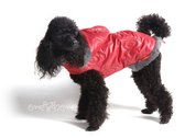 Obleček - bunda pro psa Betynka červená