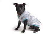 Obleček - pláštěnka pro psa Tami modrý lem