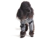 Obleček - pláštěnka pro psa Tara černá, šedý lem