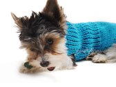 Obleček - svetr pro psa Míša modrý
