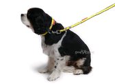 Vodítko pro psa, š. 1,5 cm, žluto černé